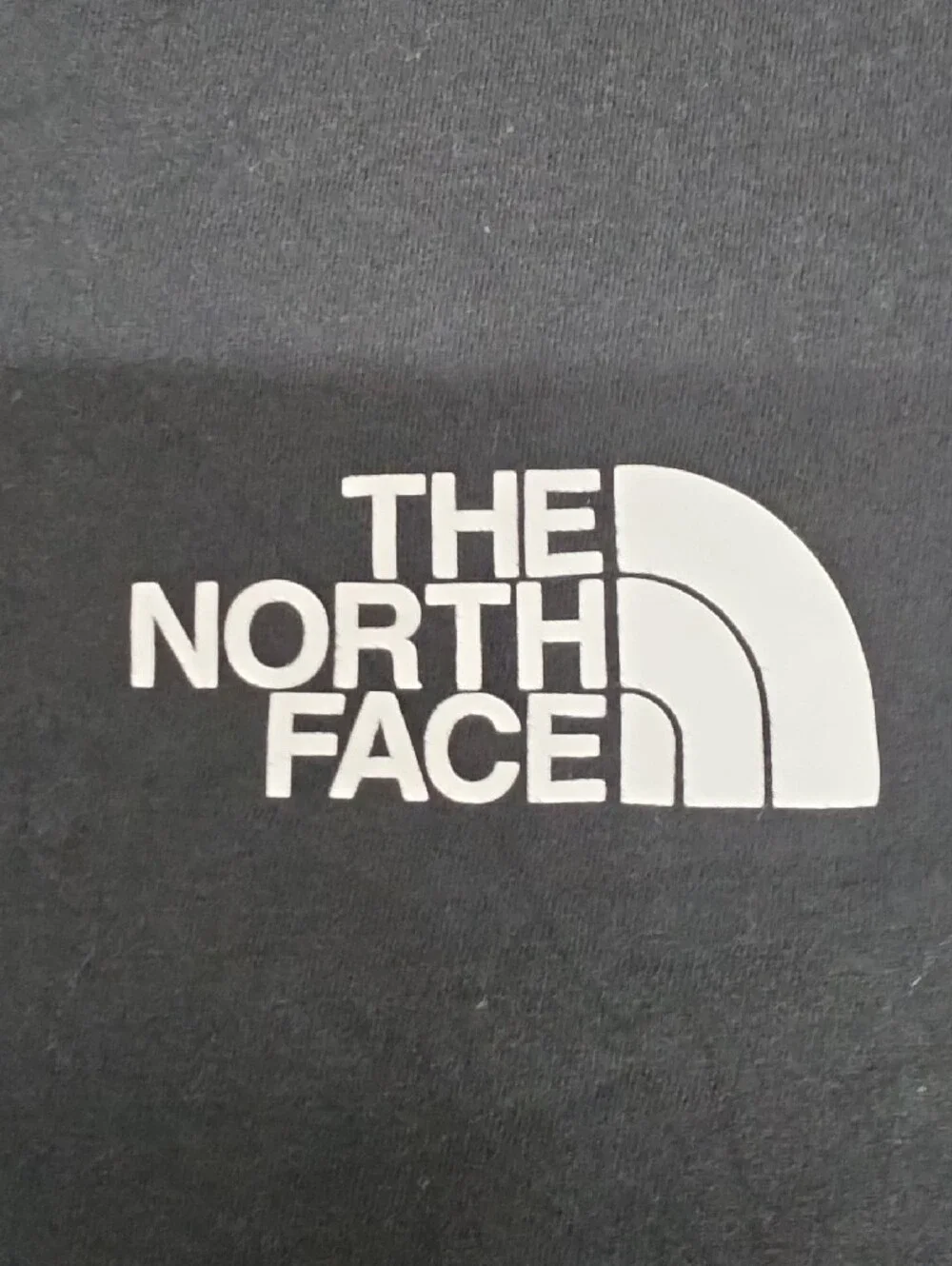 The North Face men long